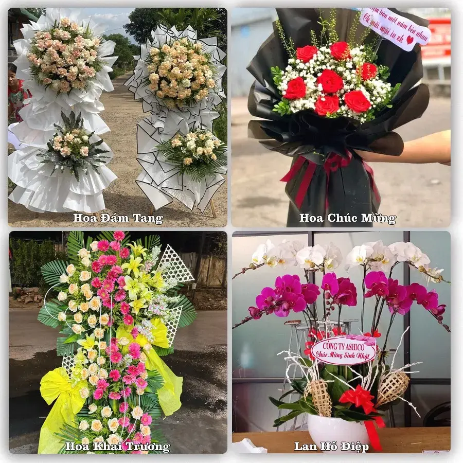 Tư vấn chọn hoa theo từng dịp tại Tân An, Long An