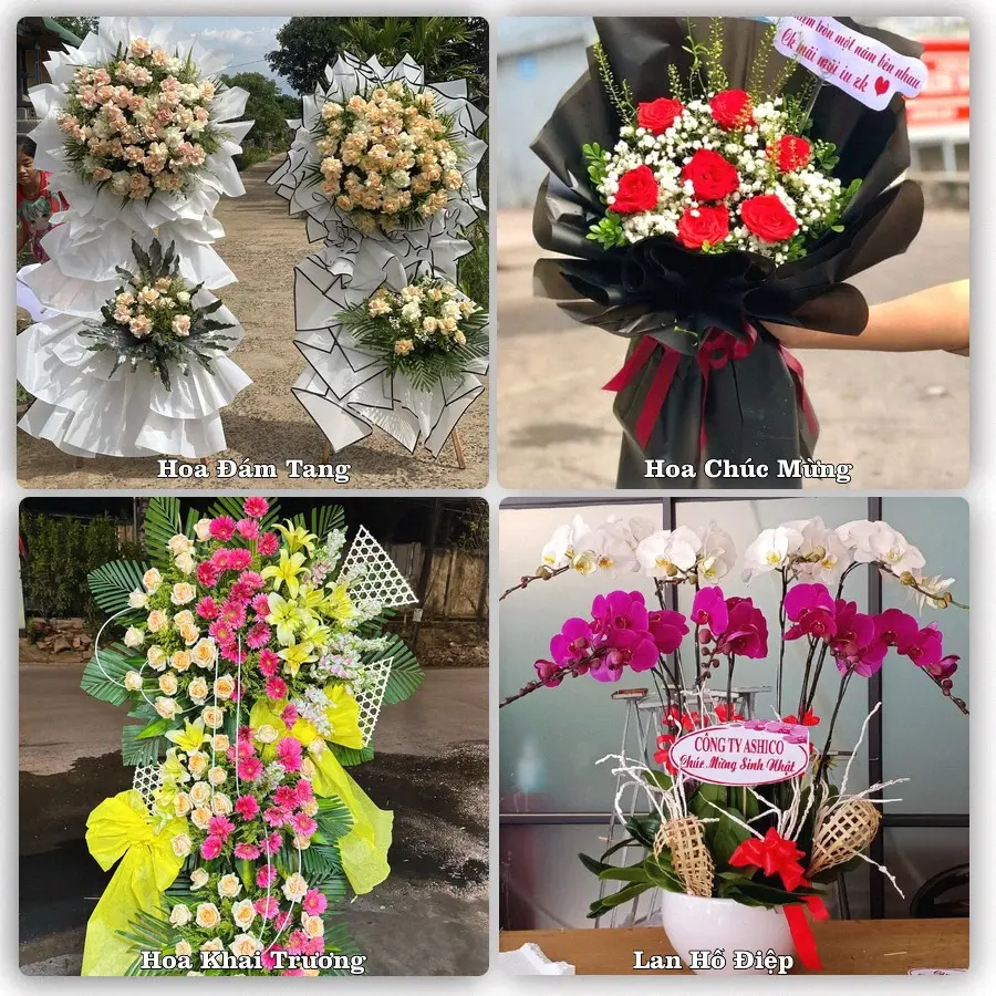 Tư vấn chọn hoa theo từng dịp tại Tân An, Long An