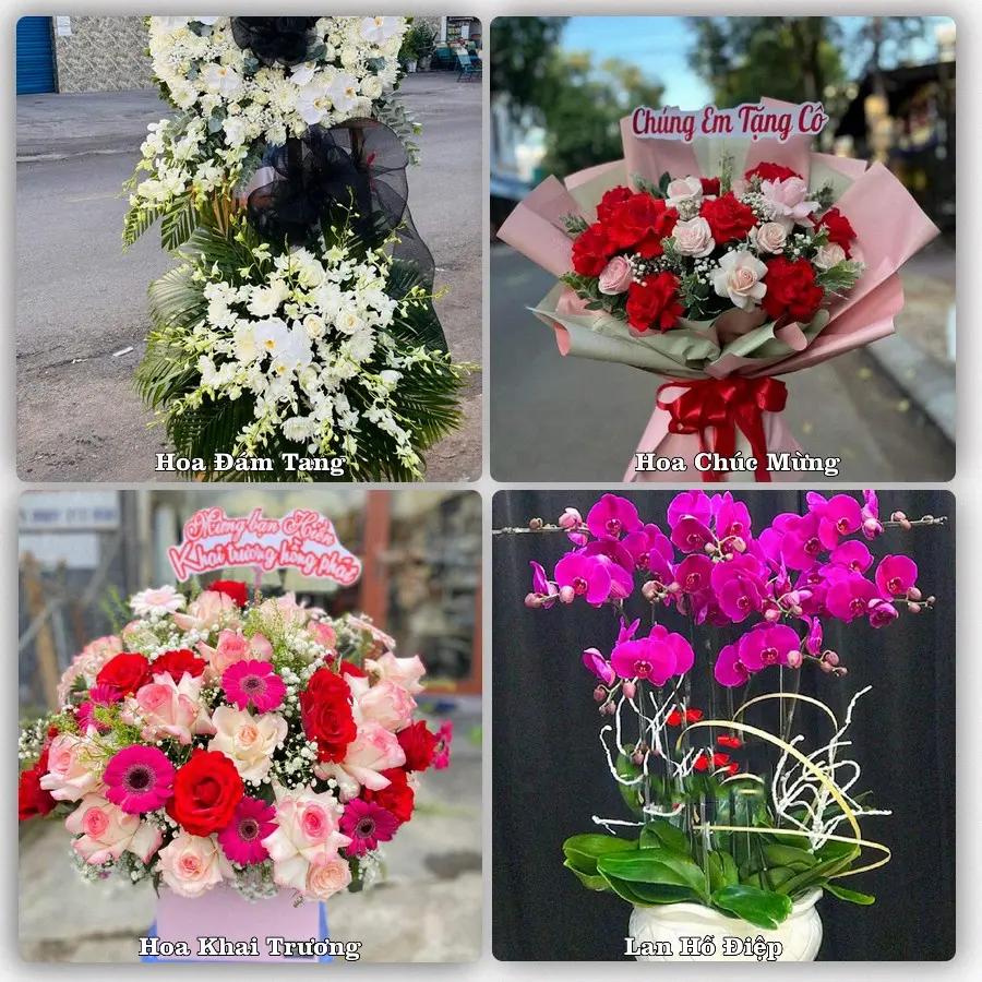 Tư vấn chọn hoa theo từng dịp tại Tây Ninh