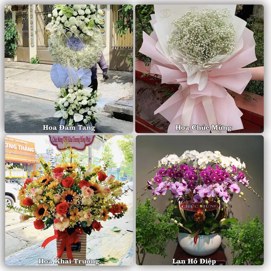 Mẫu hoa tươi dành cho khách đặt hoa tại Thủ Dầu Một, Bình Dương