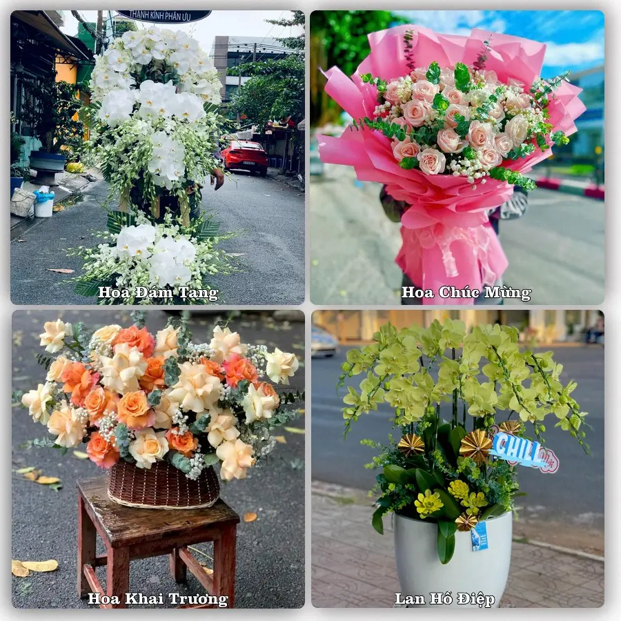 Mẫu hoa tươi dành cho khách đặt hoa tại Thuận An, Bình Dương