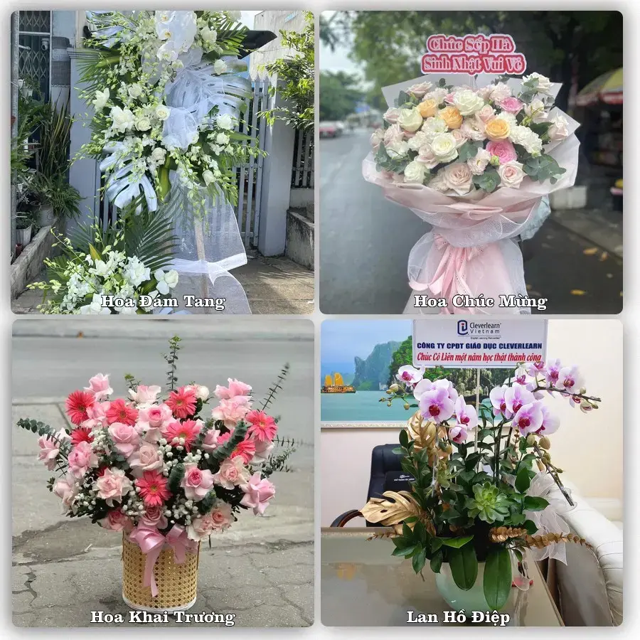 Tư vấn chọn hoa theo từng dịp tại Thuận An, Bình Dương