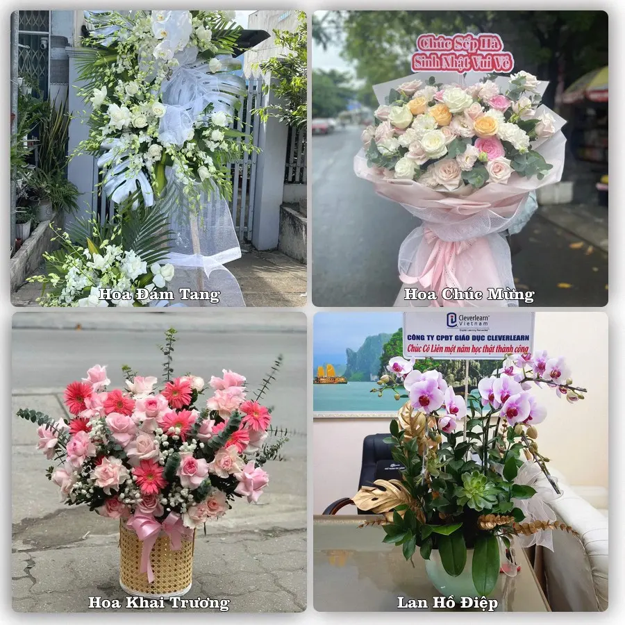 Tư vấn chọn hoa theo từng dịp tại Thuận An, Bình Dương