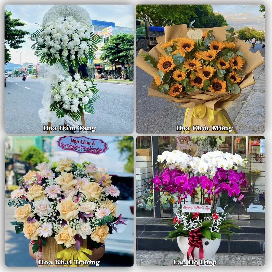 Mẫu hoa tươi dành cho khách đặt hoa tại Trà Vinh