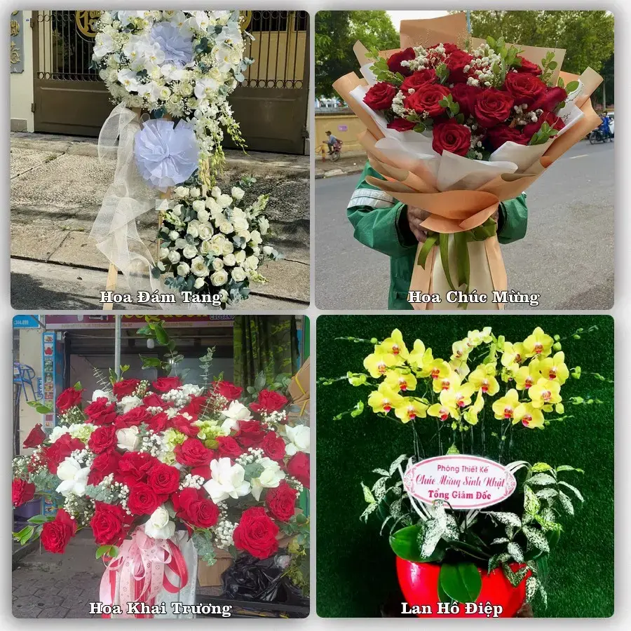 Tư vấn chọn hoa theo từng dịp tại Vĩnh Long