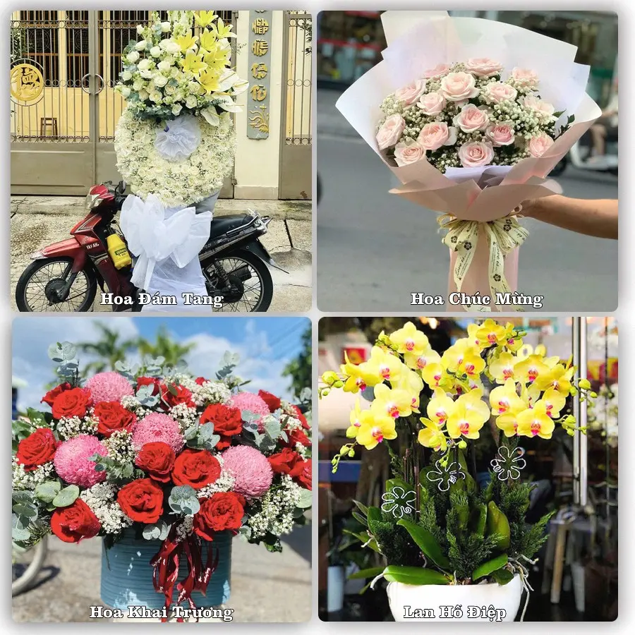 Mẫu hoa tươi dành cho khách đặt hoa tại Ma Đa Guôi, Đạ Huoai