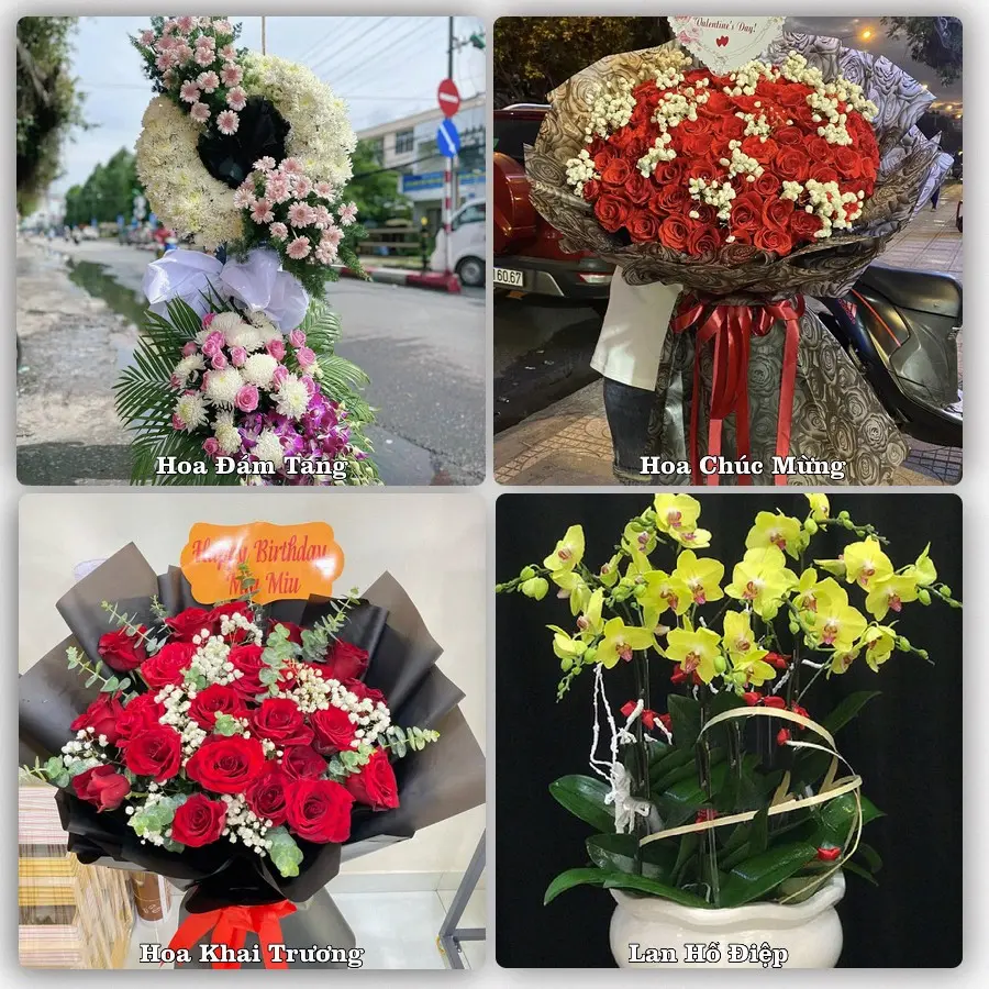 Tư vấn chọn hoa theo từng dịp tại Ma Đa Guôi, Đạ Huoai