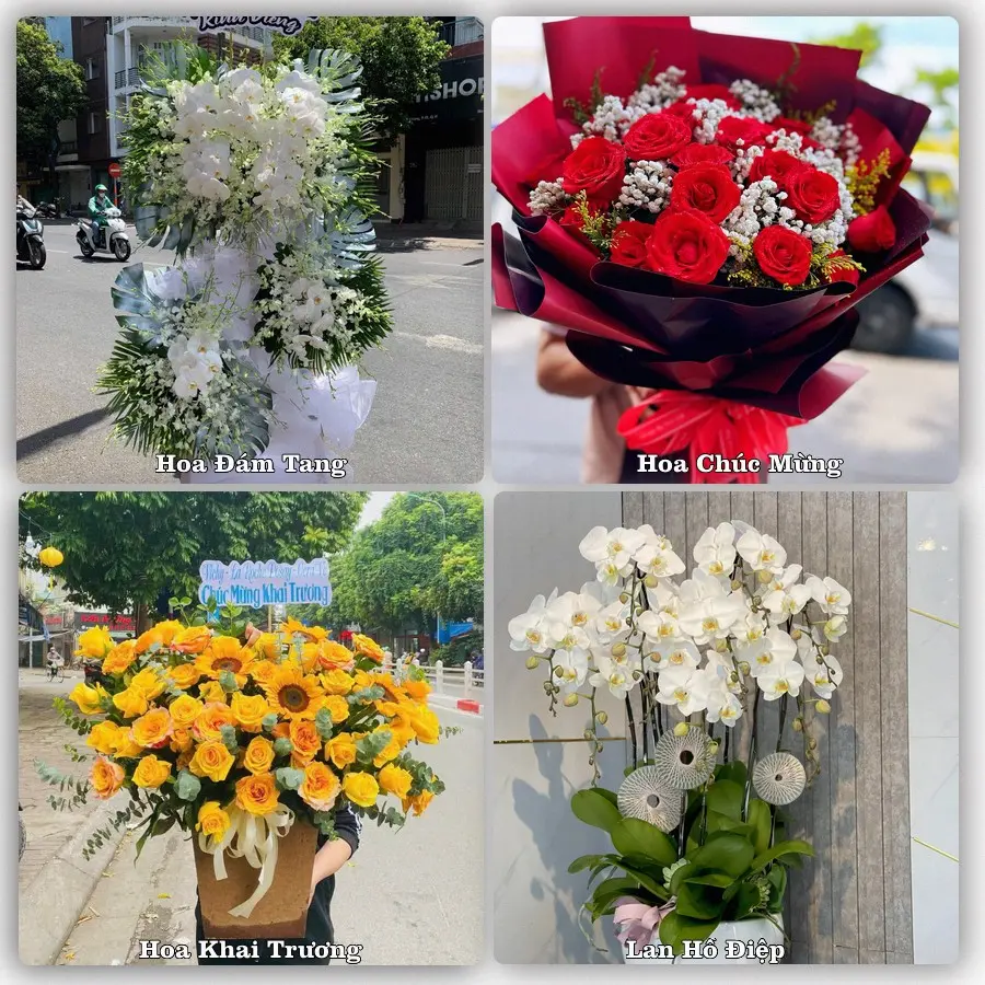 Mẫu hoa tươi dành cho khách đặt hoa tại Đạ M'ri, Đạ Huoai