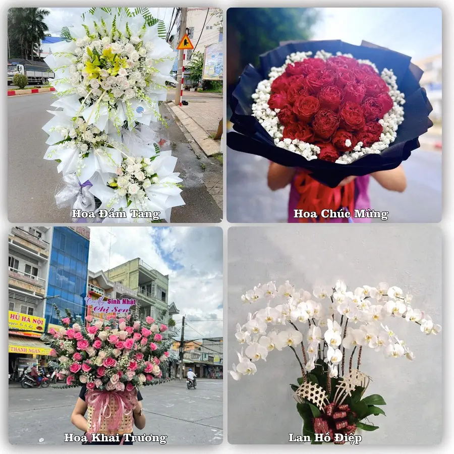 Tư vấn chọn hoa theo từng dịp tại Lộc Thắng, Bảo Lâm