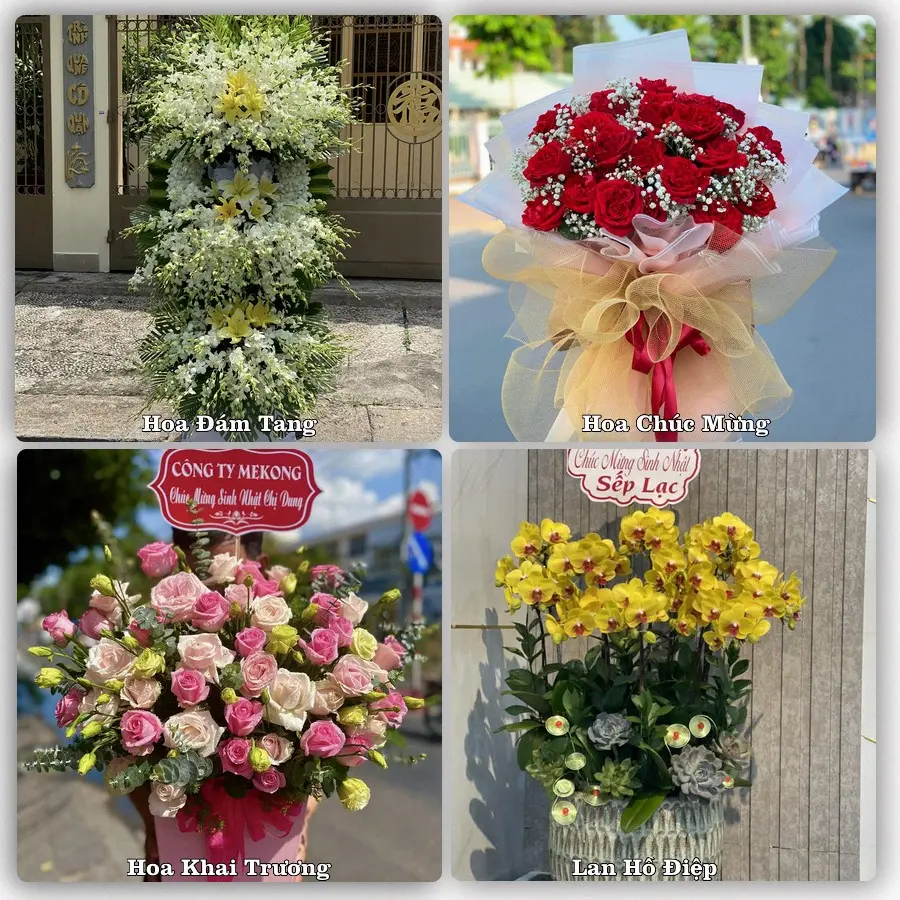 Mẫu hoa tươi dành cho khách đặt hoa tại Thạnh Mỹ, Đơn Dương