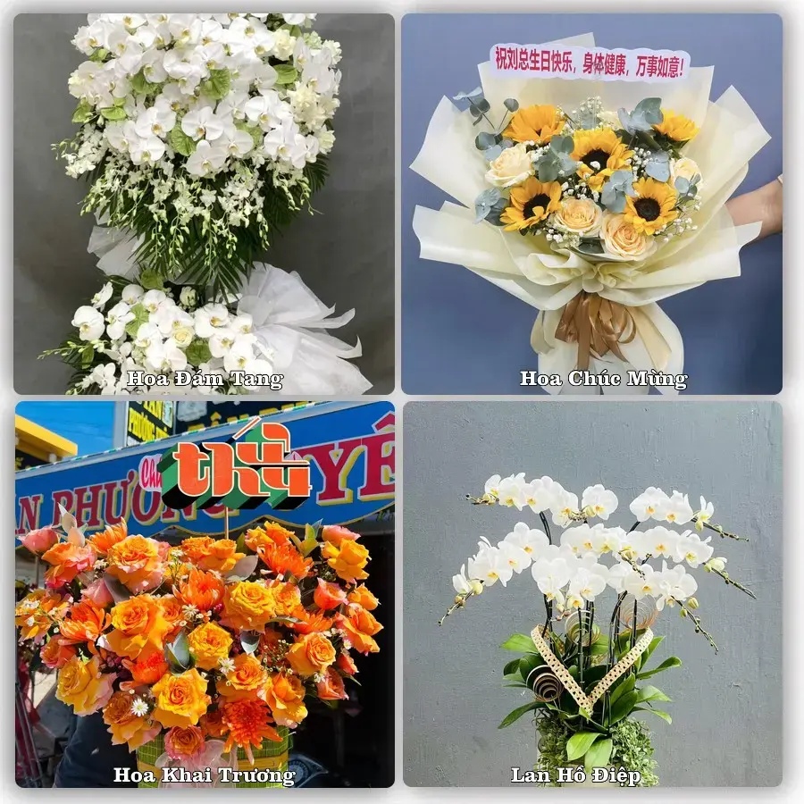 Shop hoa tươi Dương Minh Châu – Đặt online, giao tận nơi