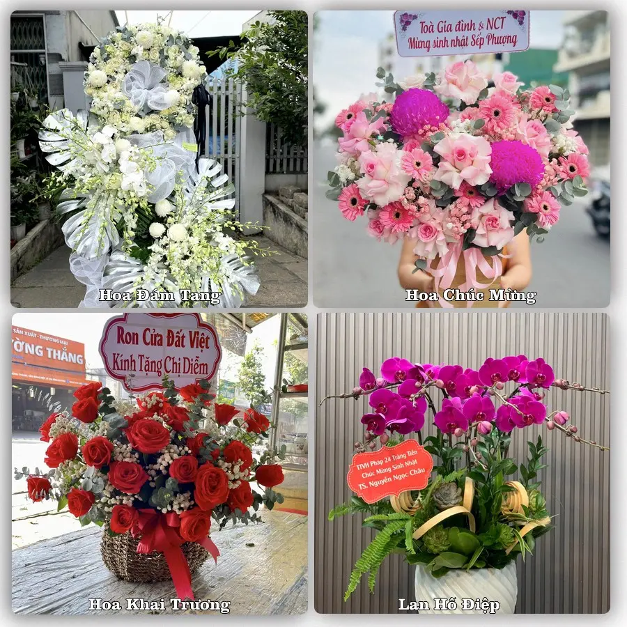 Mẫu hoa tươi dành cho khách đặt hoa tại Đinh Văn, Lâm Hà