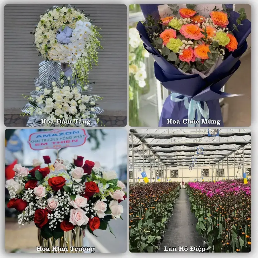 Tư vấn chọn hoa theo từng dịp tại Đinh Văn, Lâm Hà