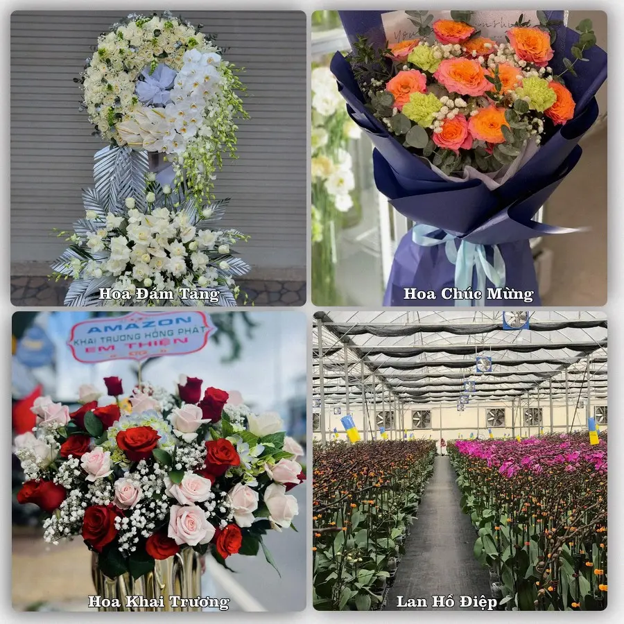 Tư vấn chọn hoa theo từng dịp tại Đinh Văn, Lâm Hà