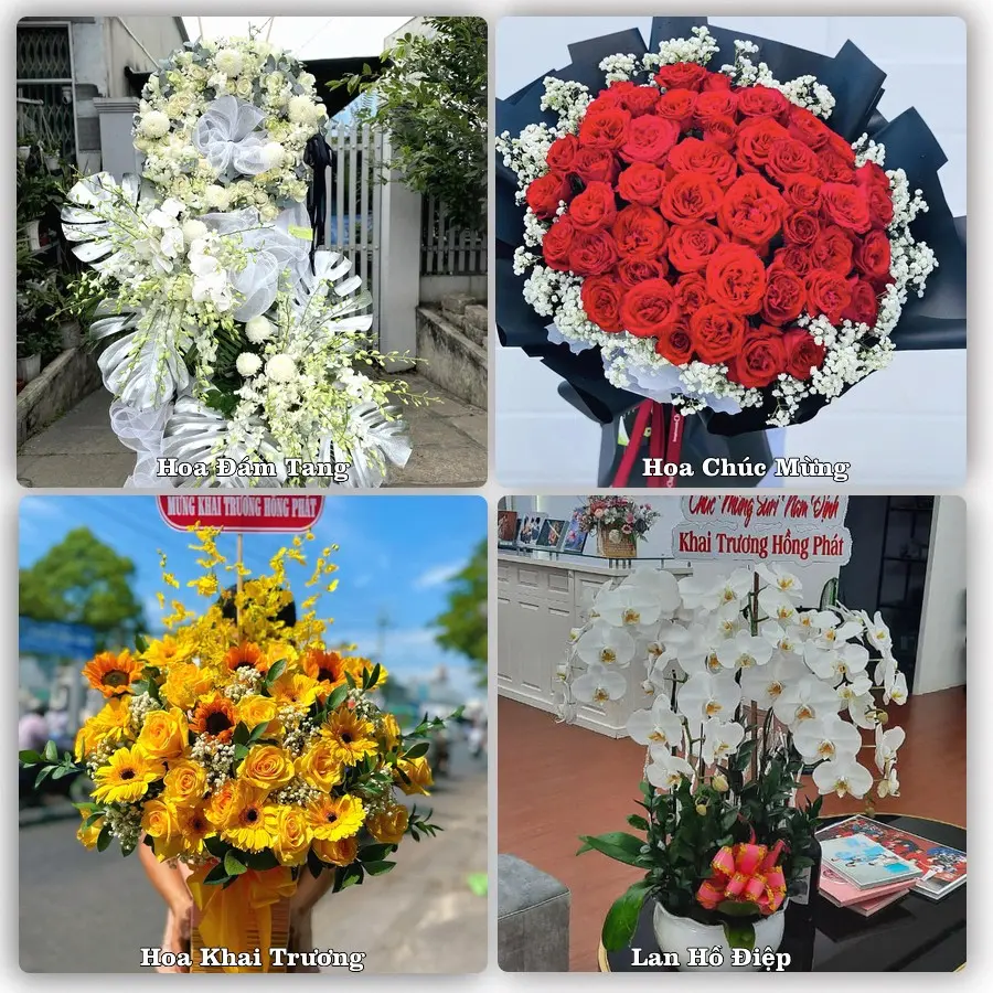 Dịch vụ đặt hoa online giao tận nơi tại Lạc Dương