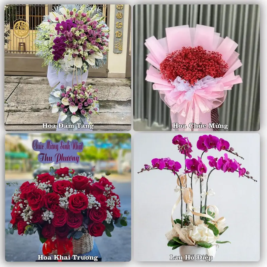 Mẫu hoa tươi dành cho khách đặt hoa tại Lạc Dương