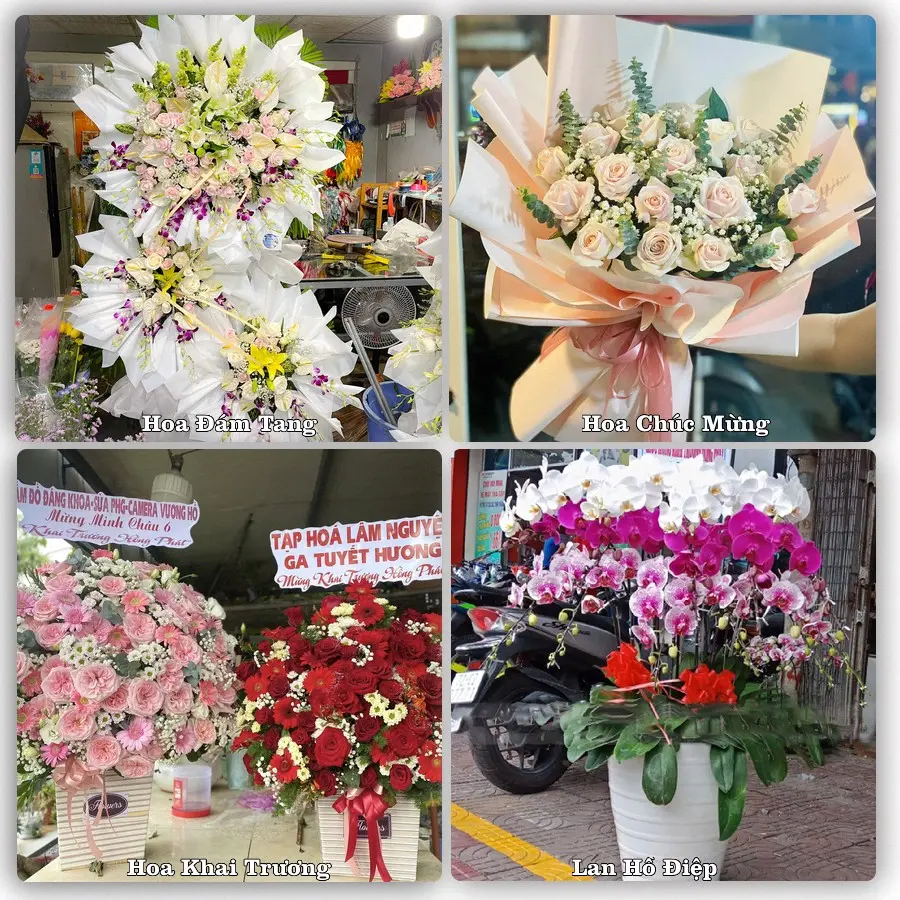 Tư vấn chọn hoa theo từng dịp tại Lạc Dương