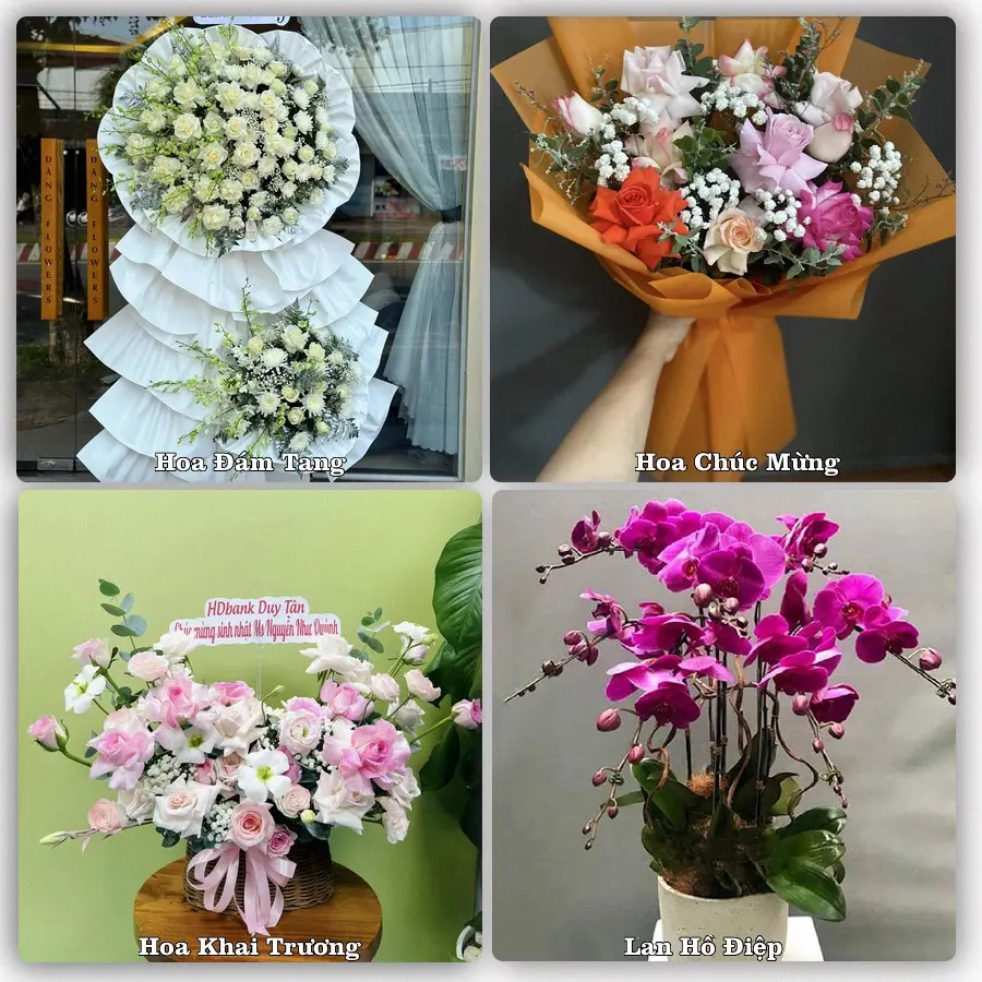 Mẫu hoa tươi dành cho khách đặt hoa tại Kiến Đức, Đắk R'Lấp