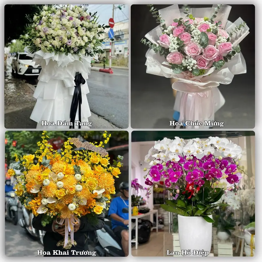 Mẫu hoa tươi dành cho khách đặt hoa tại Đức An, Đắk Song