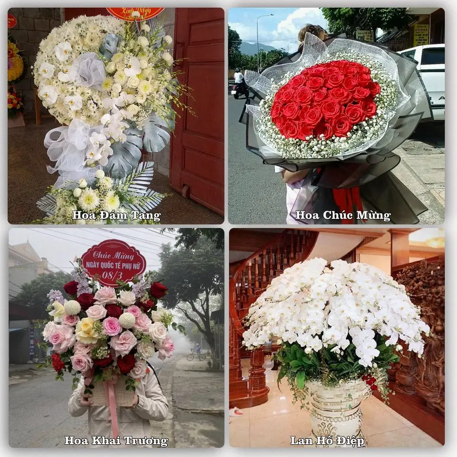 Dịch vụ đặt hoa online giao tận nơi tại M'Đrắk