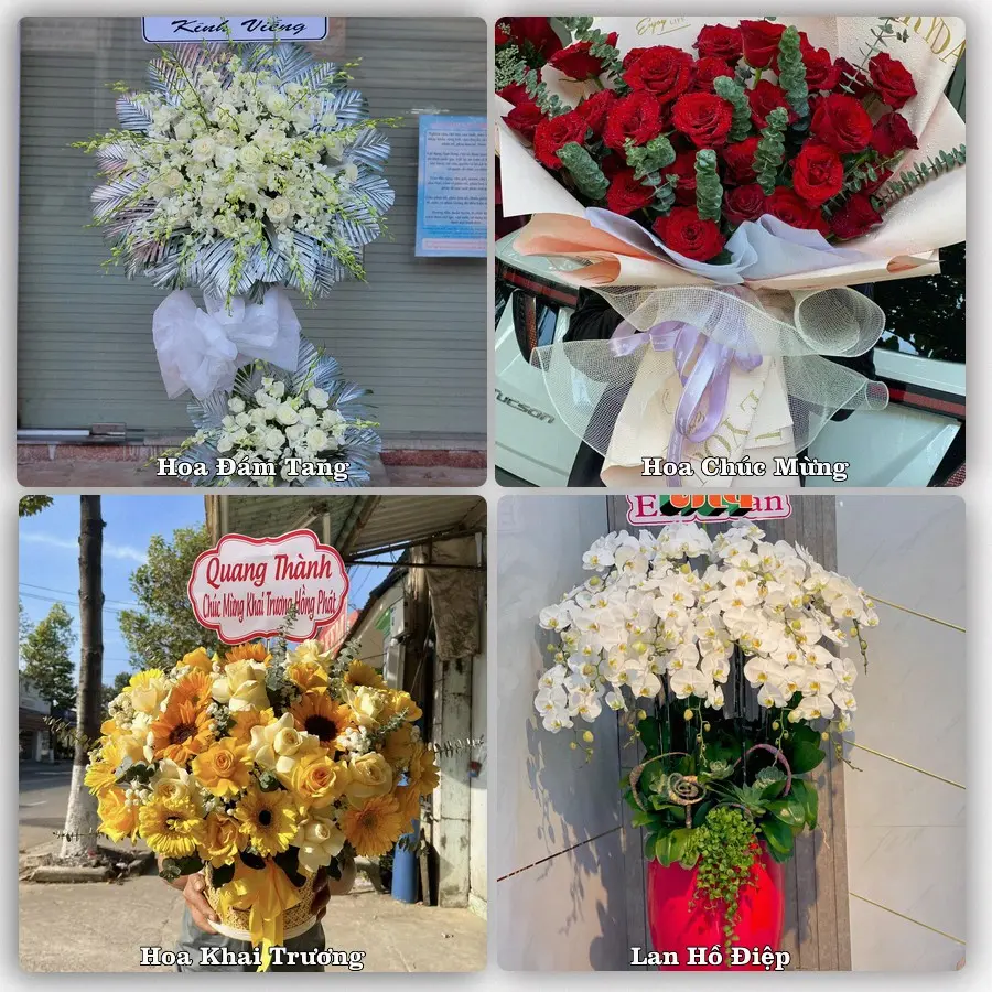 Mẫu hoa tươi dành cho khách đặt hoa tại M'Đrắk