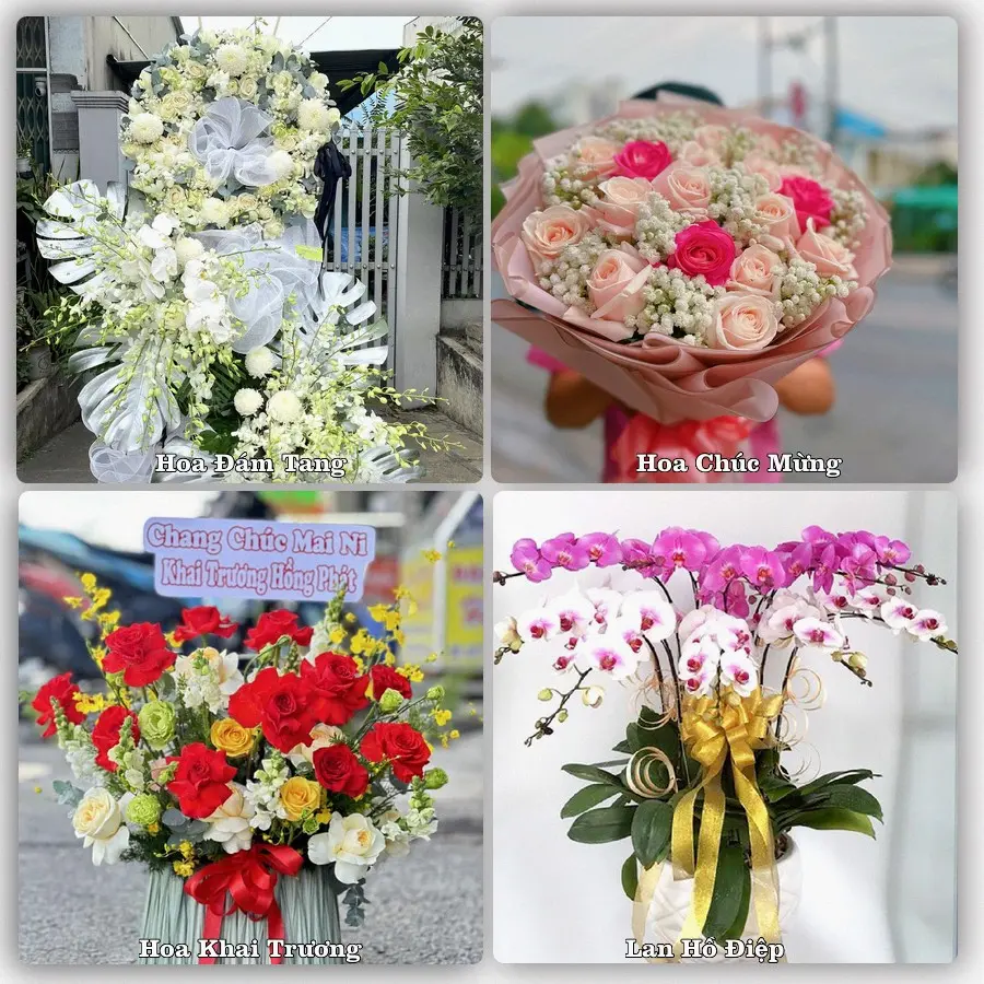 Tư vấn chọn hoa theo từng dịp tại M'Đrắk