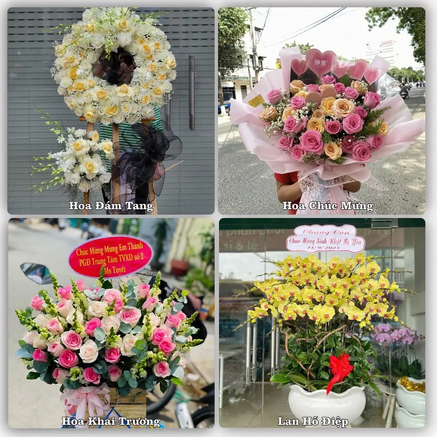 Mẫu hoa tươi dành cho khách đặt hoa tại Quảng Phú, Cư M'gar
