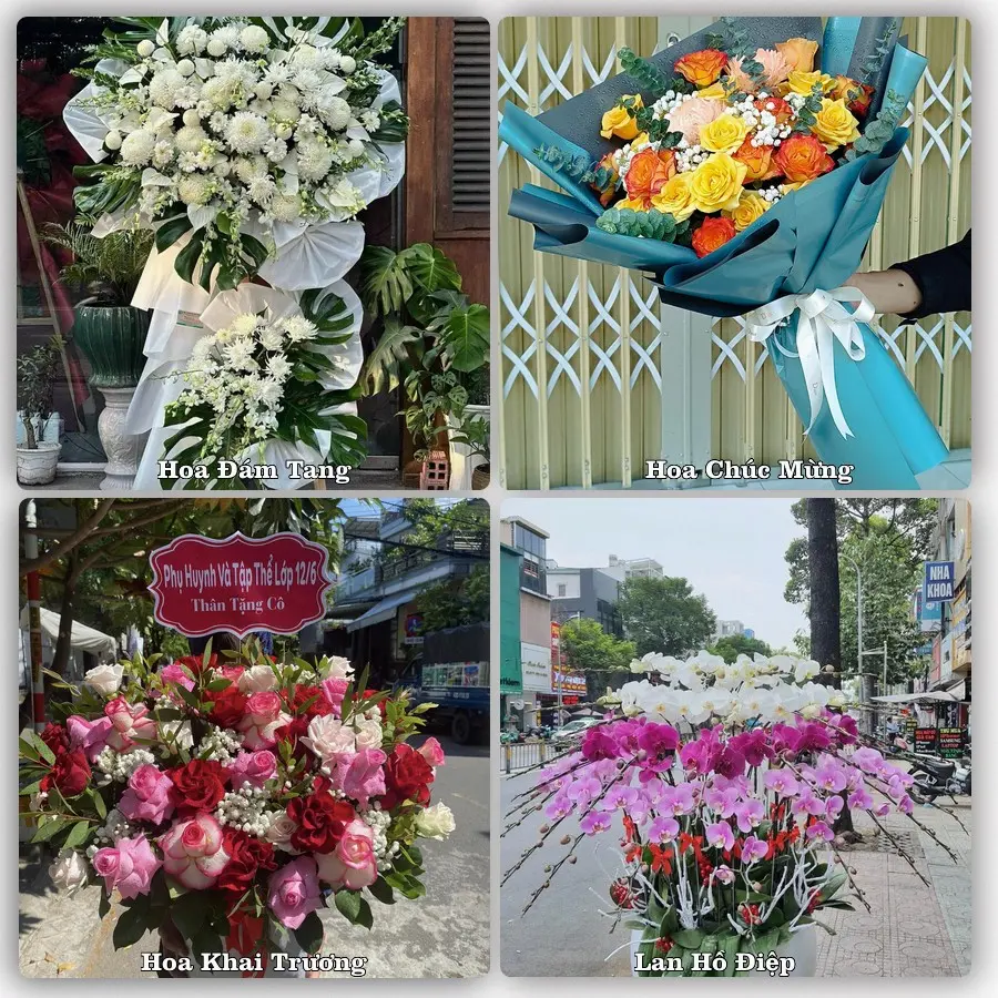 Tư vấn chọn hoa theo từng dịp tại Quảng Phú, Cư M'gar