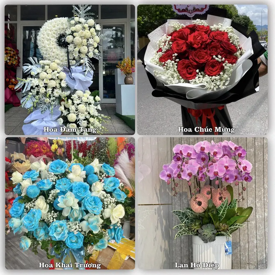 Tư vấn chọn hoa theo từng dịp tại Ea Drăng, Ea H'leo