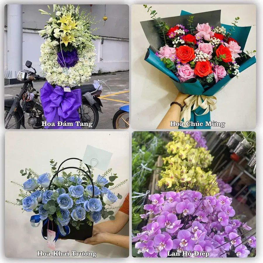 Tư vấn chọn hoa theo từng dịp tại Nhơn Hoà, Chư Pưh