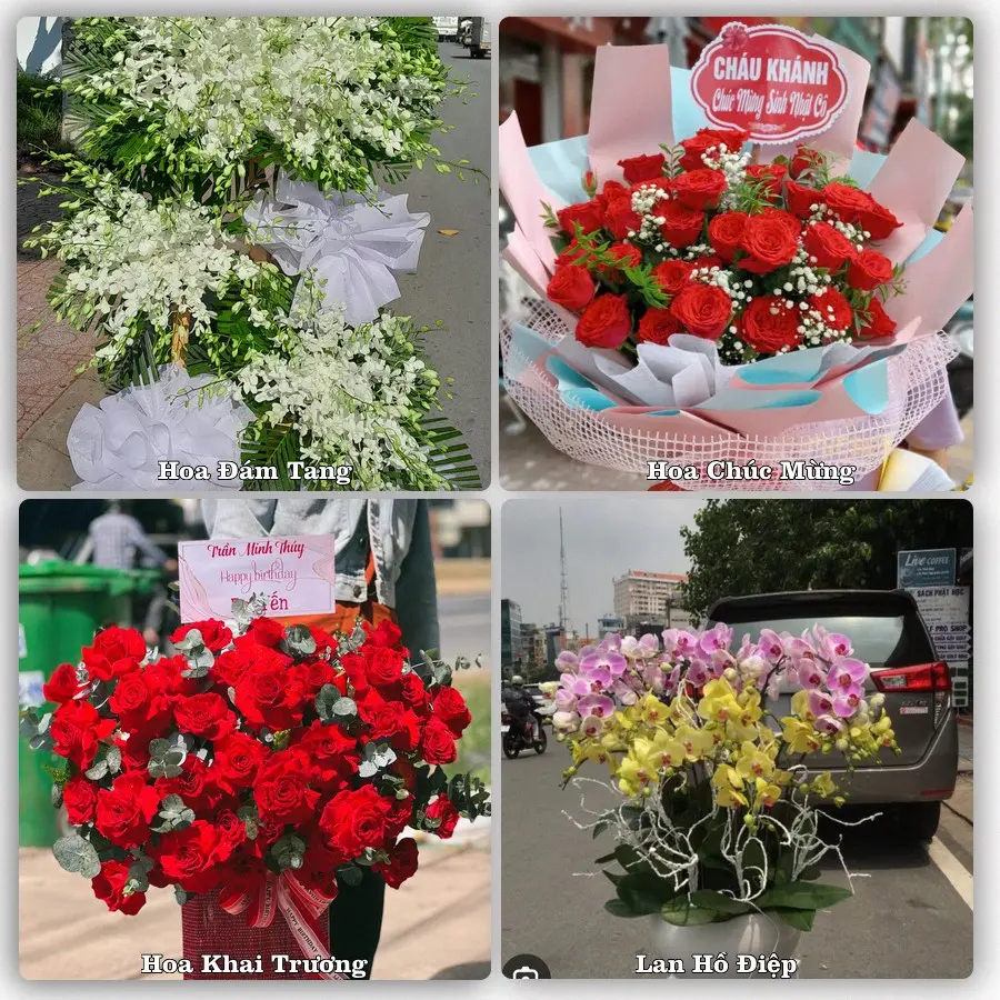 Mẫu hoa tươi dành cho khách đặt hoa tại Phú Túc, Krông Pa