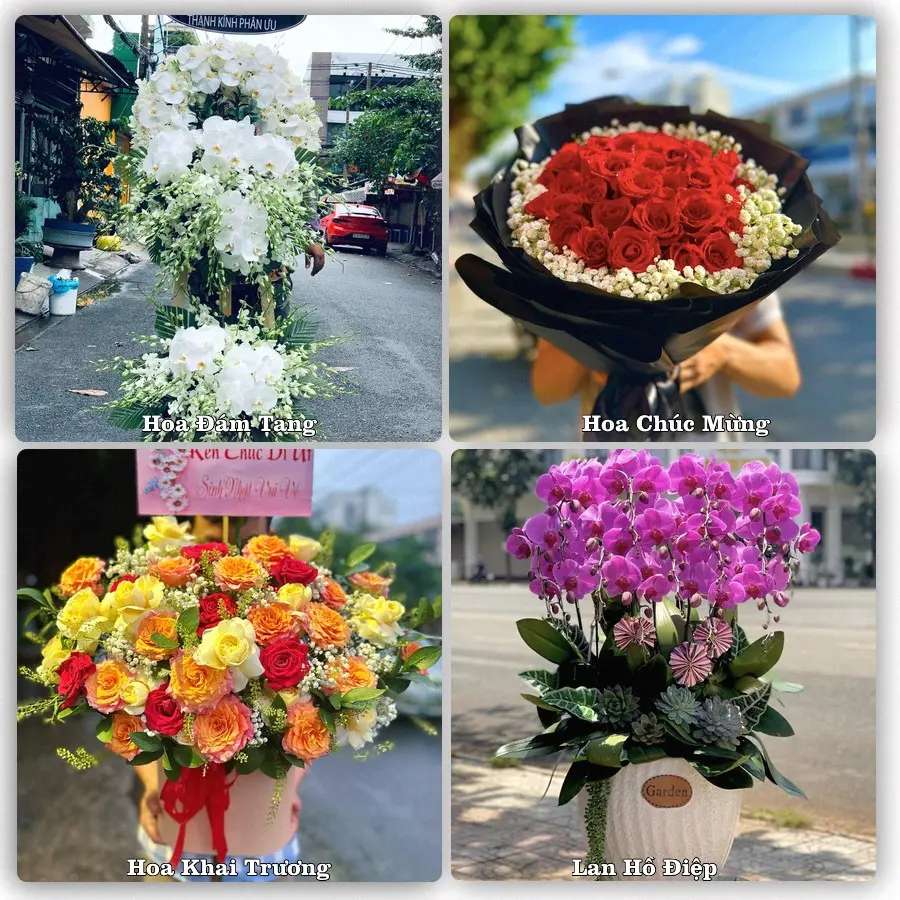 Tư vấn chọn hoa theo từng dịp tại Phú Túc, Krông Pa