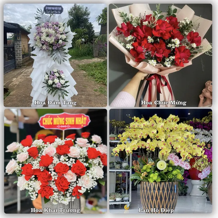 Tư vấn chọn hoa theo từng dịp tại Đak Pơ