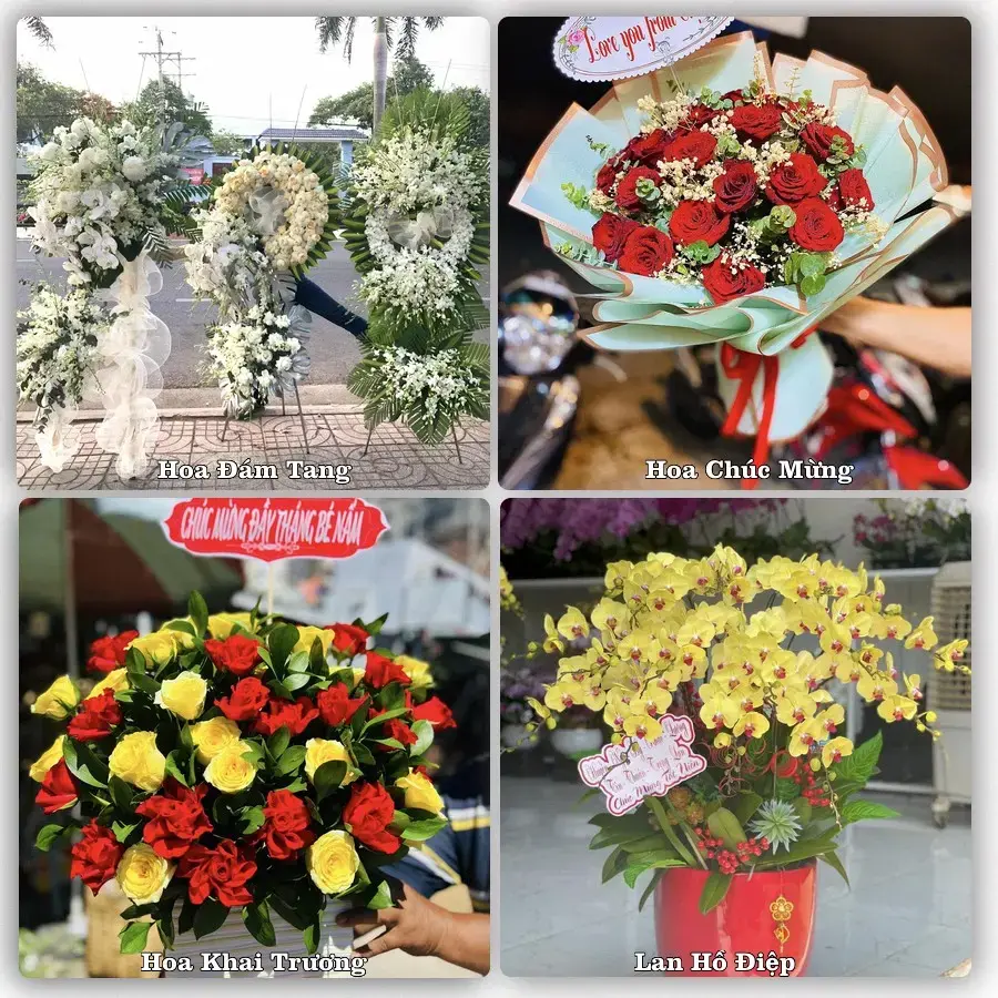 Shop hoa tươi Chư Sê – Đặt online, giao tận nơi
