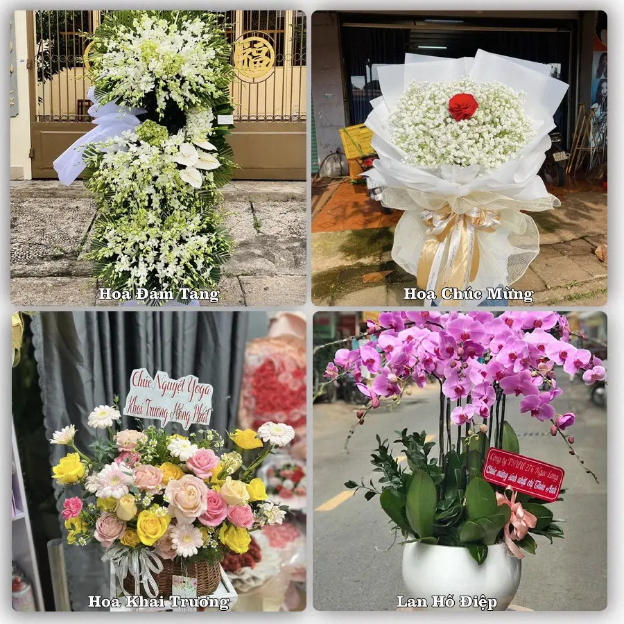 Mẫu hoa tươi dành cho khách đặt hoa tại Chư Prông
