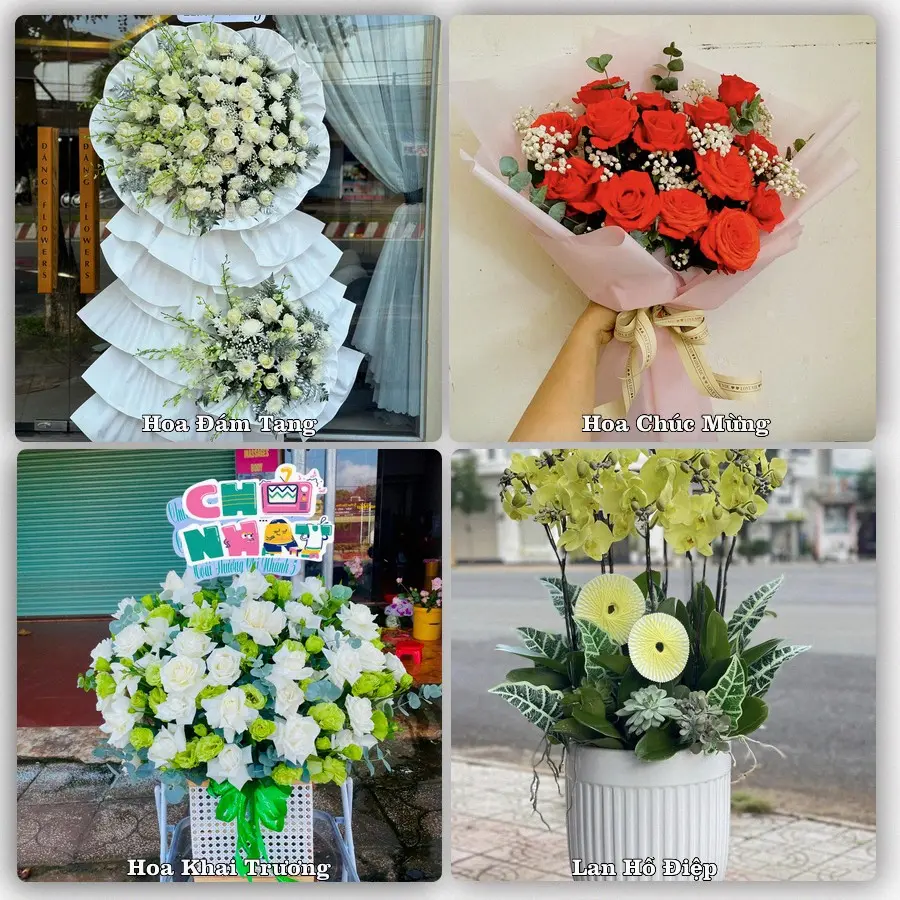 Tư vấn chọn hoa theo từng dịp tại Chư Prông