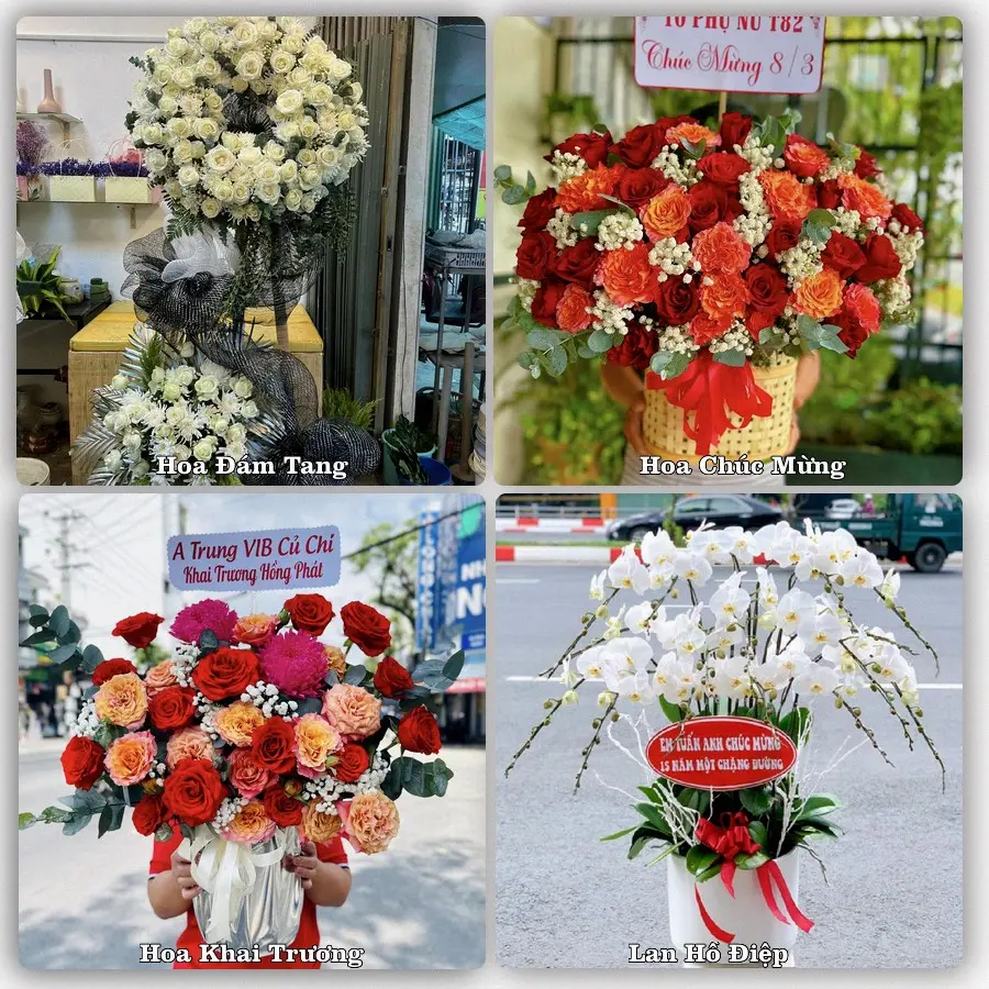 Tư vấn chọn hoa theo từng dịp tại Kông Chro