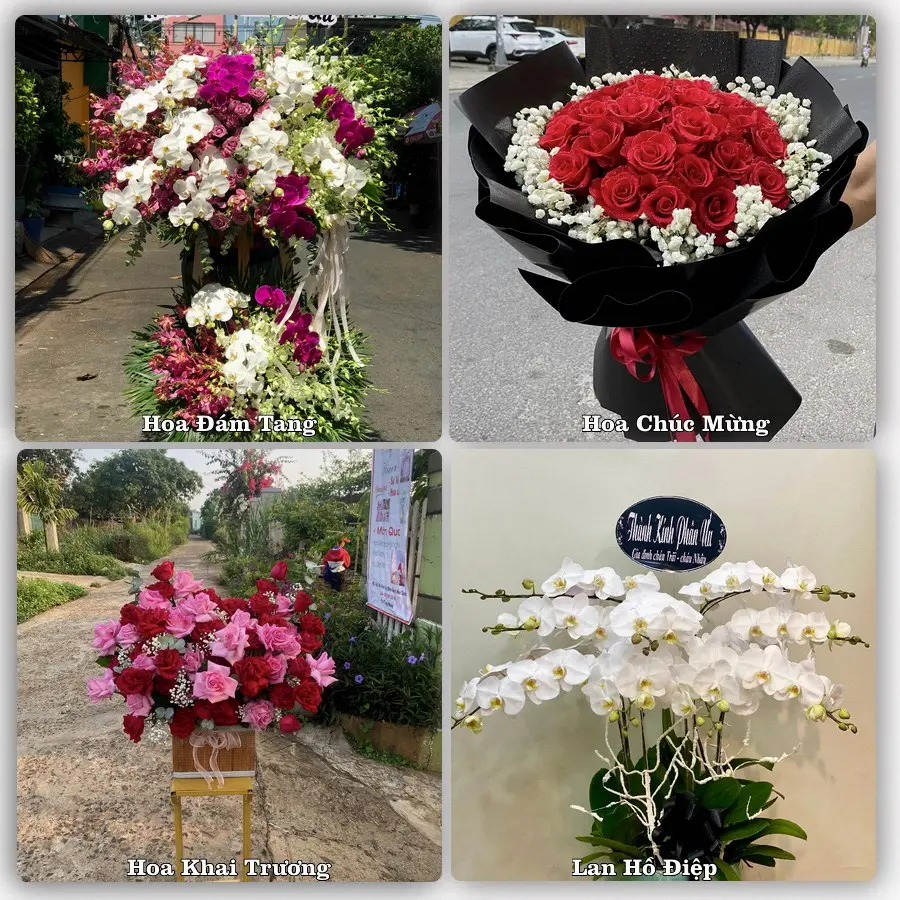 Mẫu hoa tươi dành cho khách đặt hoa tại Ia Kha, Ia Grai