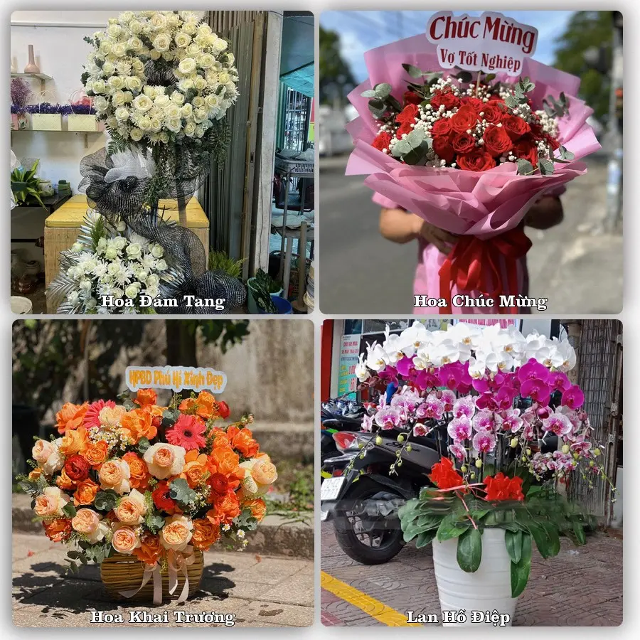 Tư vấn chọn hoa theo từng dịp tại Đức Phong, Bù Đăng