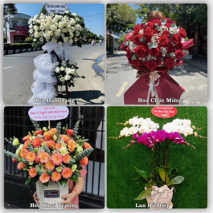 Mẫu hoa tươi dành cho khách đặt hoa tại Ia Ly, Chư Păh