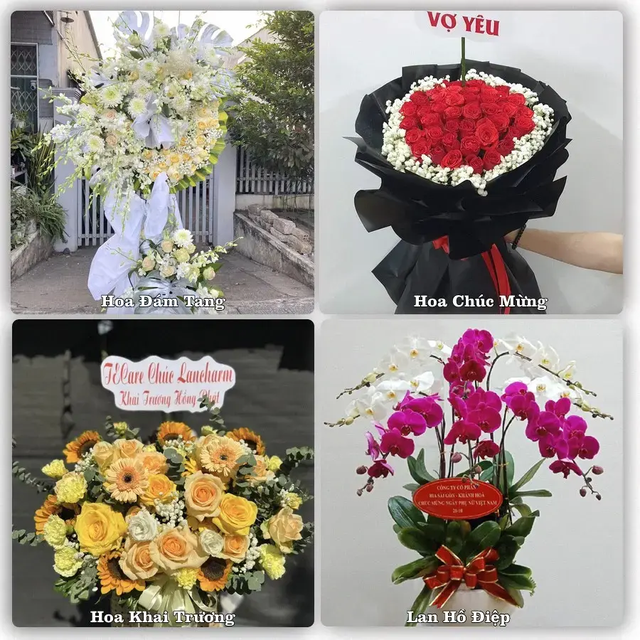 Tư vấn chọn hoa theo từng dịp tại Ia Ly, Chư Păh