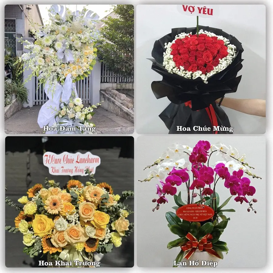 Tư vấn chọn hoa theo từng dịp tại Ia Ly, Chư Păh