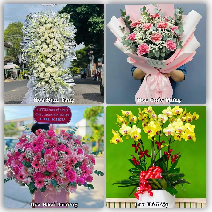 Mẫu hoa tươi dành cho khách đặt hoa tại Bắc Kạn