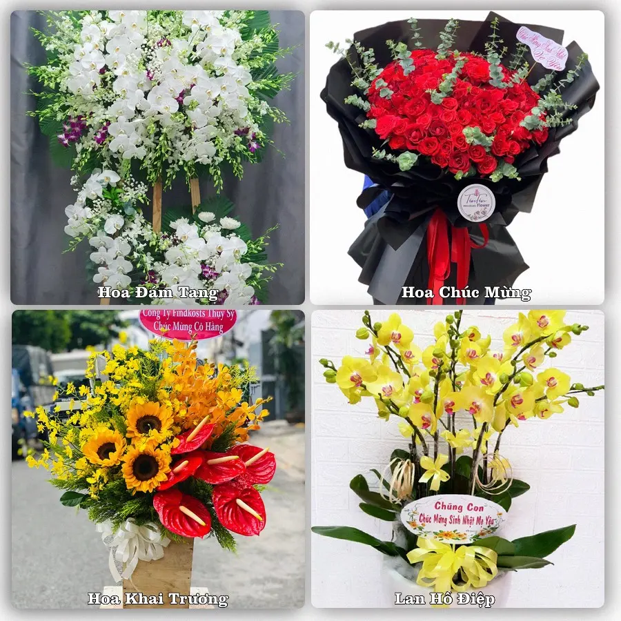 Tư vấn chọn hoa theo từng dịp tại Bắc Kạn