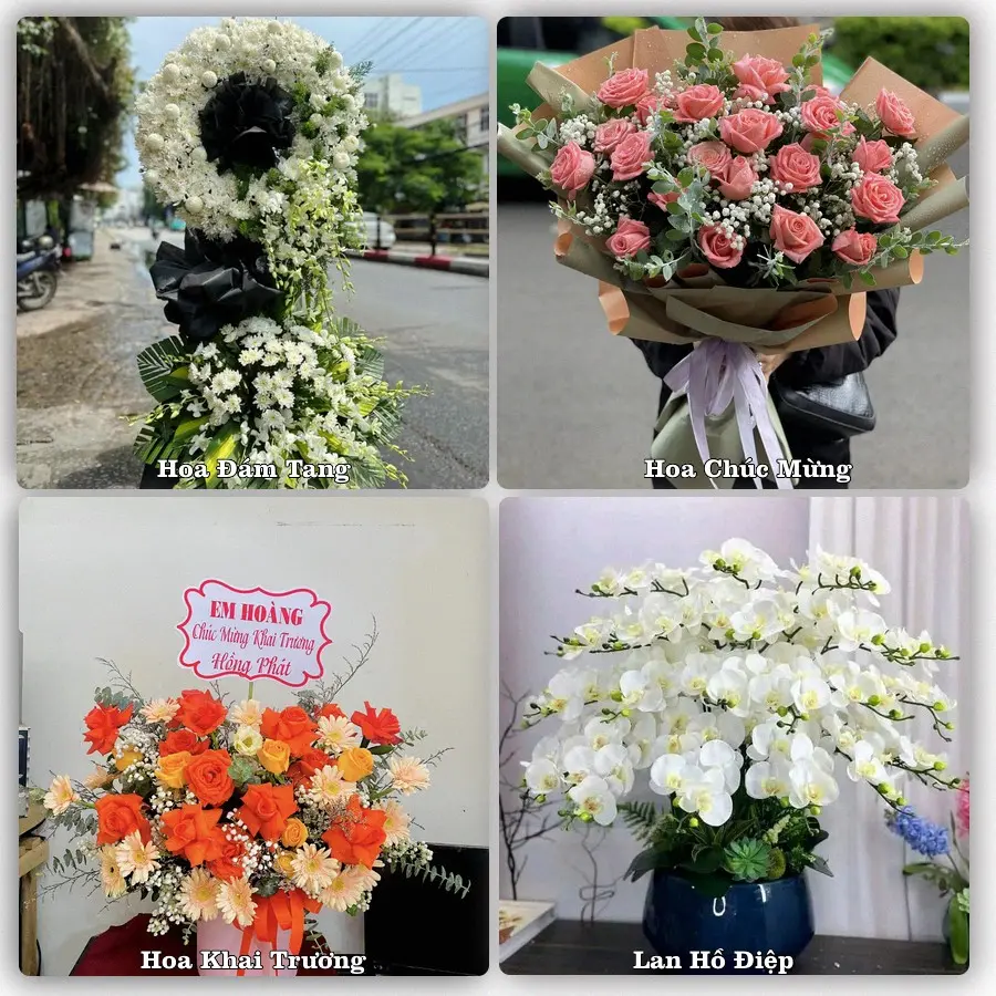 Mẫu hoa tươi dành cho khách đặt hoa tại Cẩm Phả, Quảng Ninh