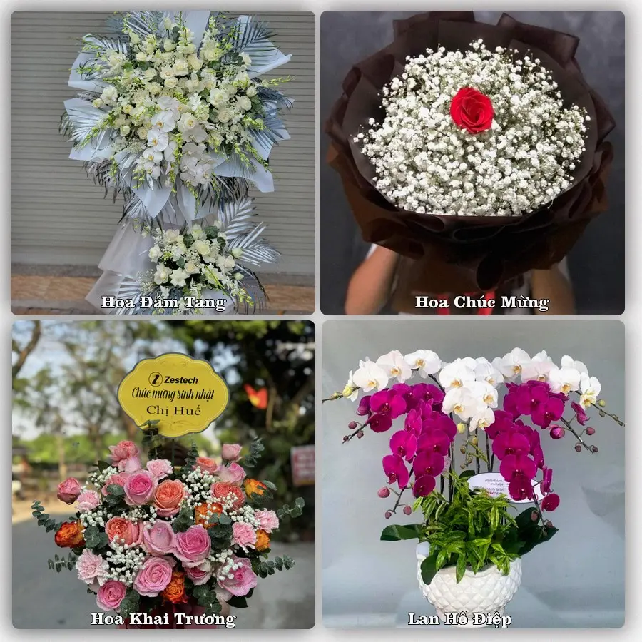 Tư vấn chọn hoa theo từng dịp tại Cẩm Phả, Quảng Ninh