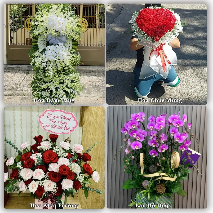 Tư vấn chọn hoa theo từng dịp tại Cam Ranh, Khánh Hòa