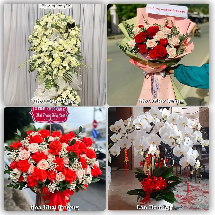 Tư vấn chọn hoa theo từng dịp tại Cao Bằng
