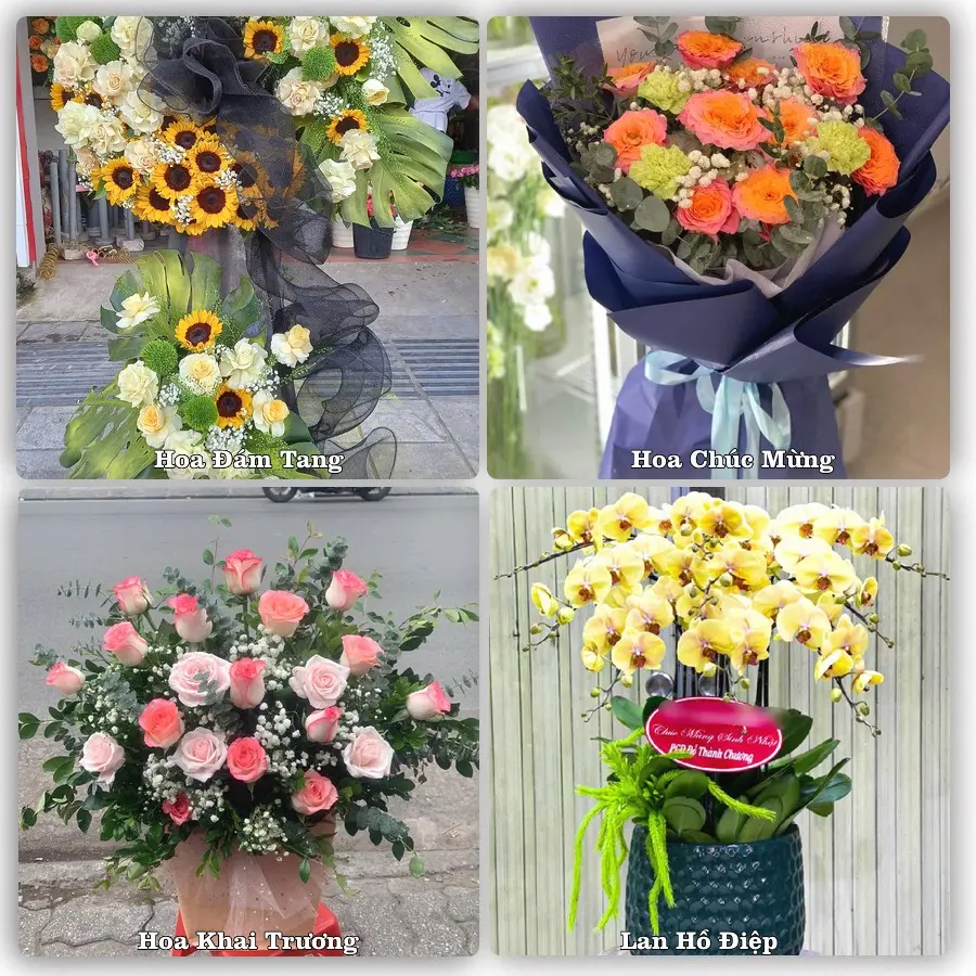 Mẫu hoa tươi dành cho khách đặt hoa tại Chí Linh, Hải Dương