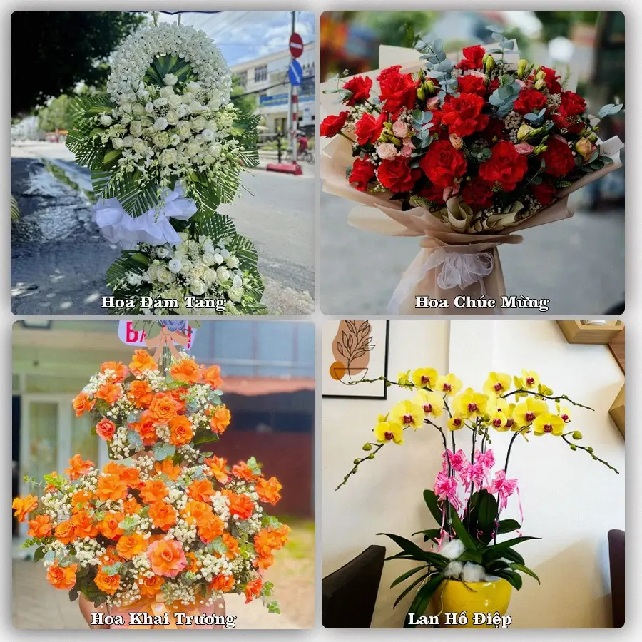 Tư vấn chọn hoa theo từng dịp tại Điện Biên Phủ, Điện Biên